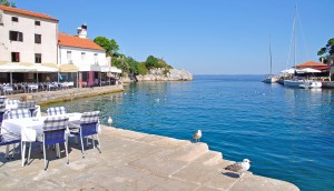 Veli Losinj: Yachts share the harbour with the seagulls