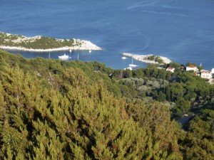 Saplunara: Yachts on mooring buoys